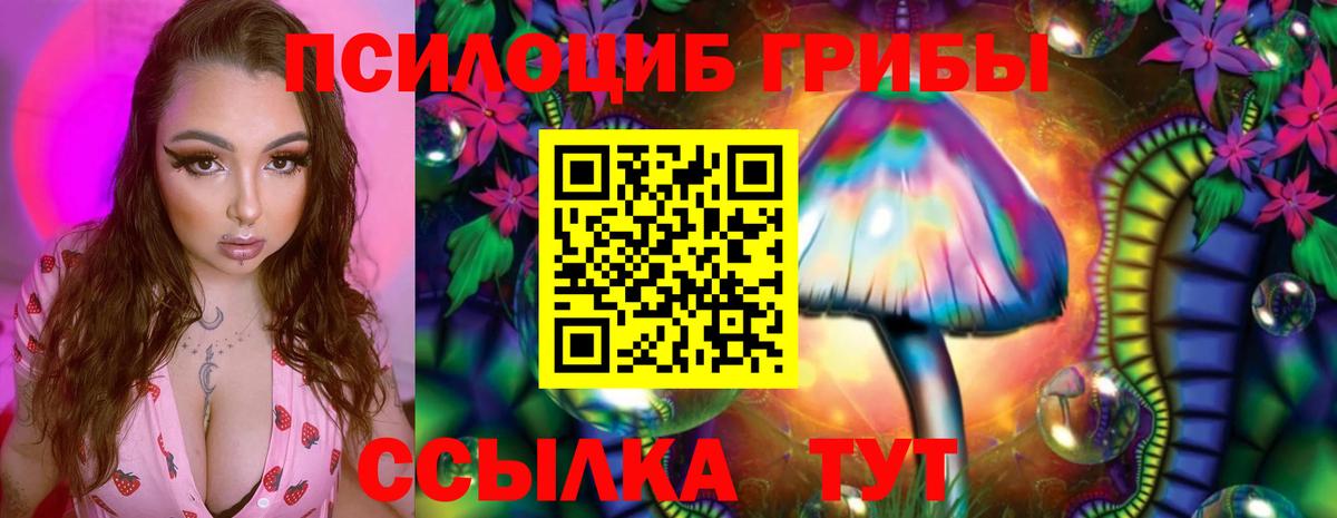 Псилоцибиновые грибы GOLDEN TEACHER Чусовой
